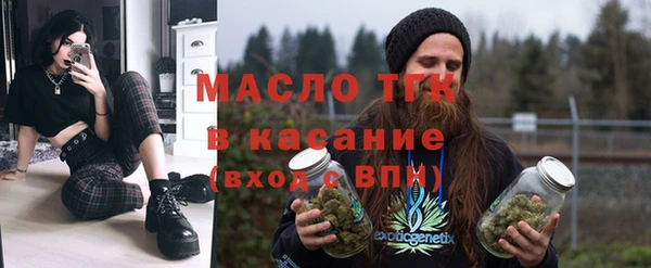 хмурый Арсеньев