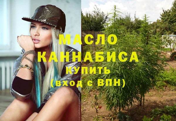 хмурый Арсеньев