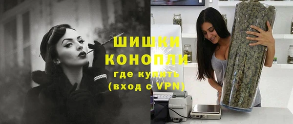ПСИЛОЦИБИНОВЫЕ ГРИБЫ Аркадак
