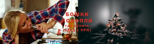 ПСИЛОЦИБИНОВЫЕ ГРИБЫ Аркадак