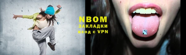 хмурый Арсеньев