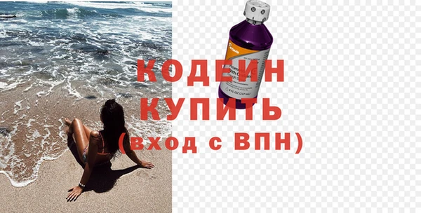 хмурый Арсеньев