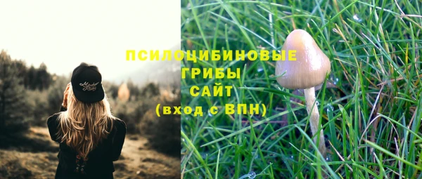 меф Армянск