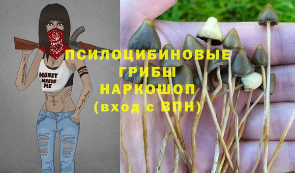 хмурый Арсеньев