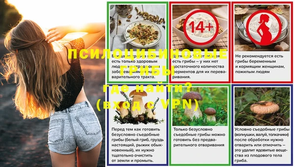 ПСИЛОЦИБИНОВЫЕ ГРИБЫ Аркадак