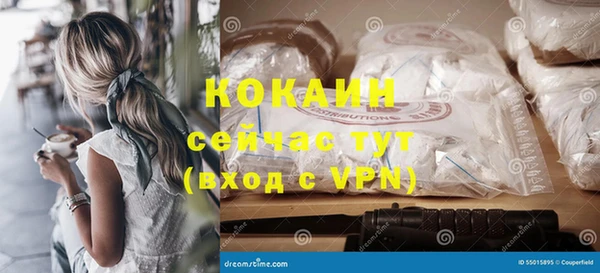 хмурый Арсеньев