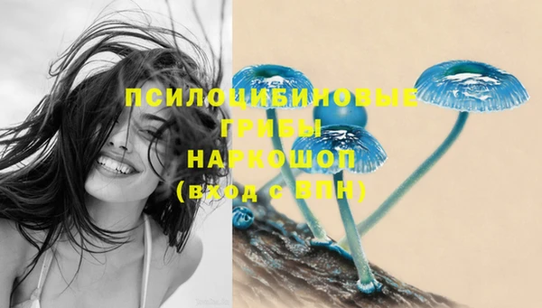 ПСИЛОЦИБИНОВЫЕ ГРИБЫ Аркадак