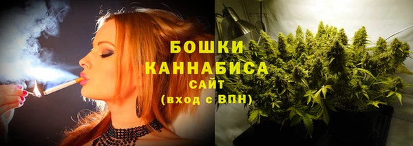хмурый Арсеньев