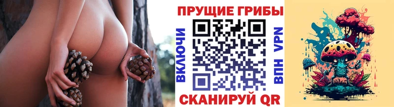 Галлюциногенные грибы Psilocybine cubensis  сколько стоит  Любань 